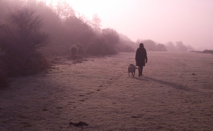 Mist Over the&nbsp;Moor
