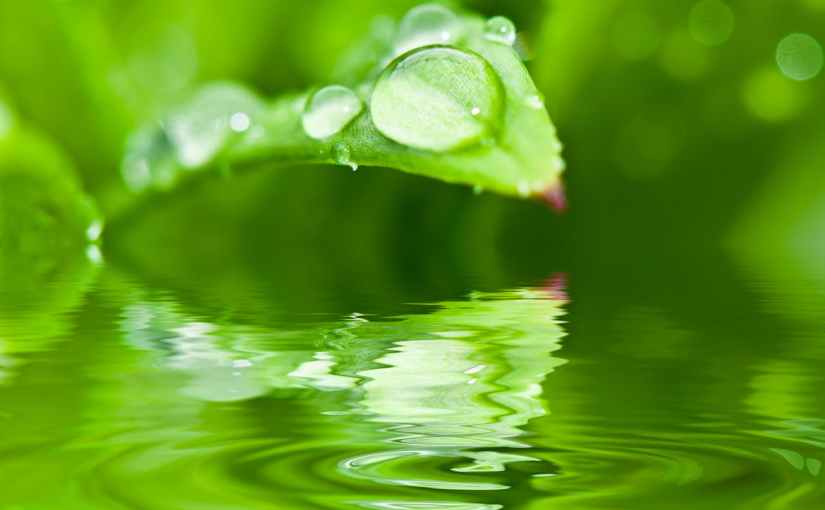 Here Comes the&nbsp;Rain