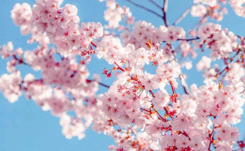 Springtime Selection