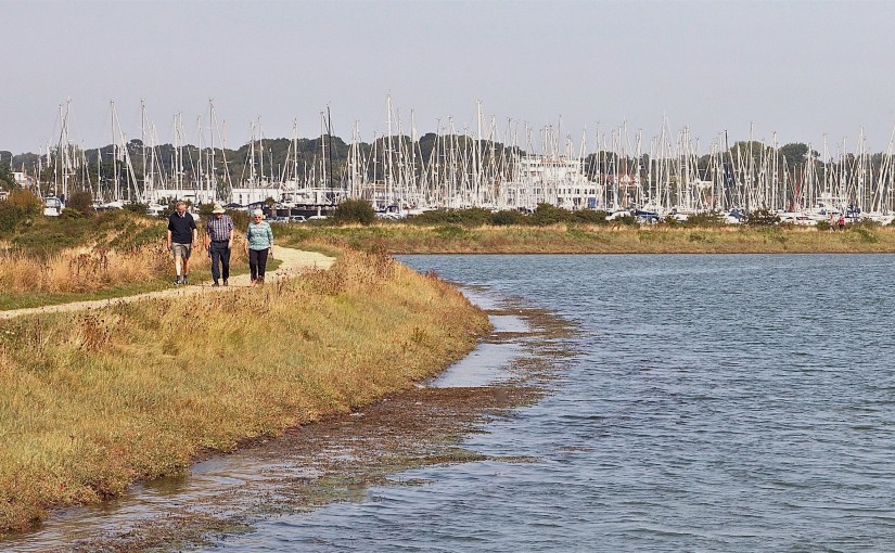 Where the Forest Meets the&nbsp;Sea
