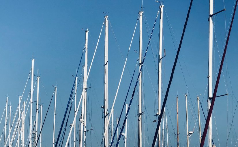 A Forest of&nbsp;Masts