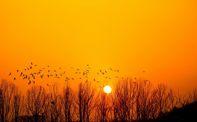 Avon Sunset – for BBC&nbsp;Countryfile